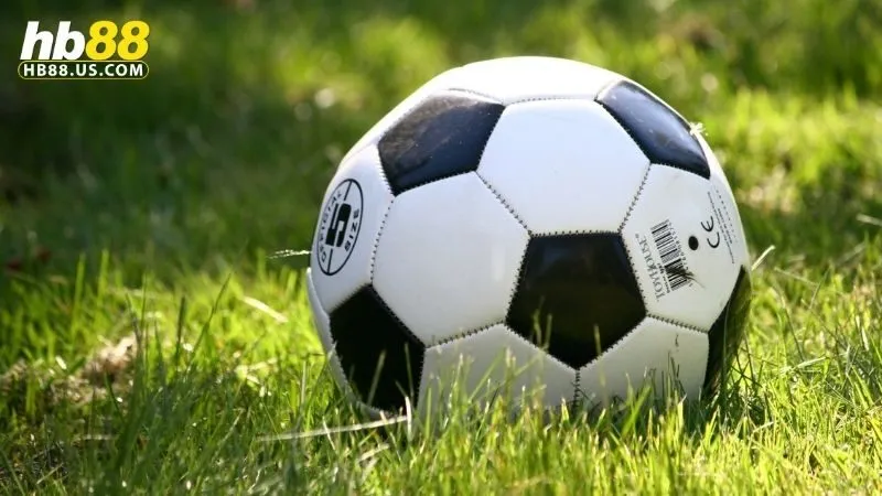 Thể Thao Ksports: Cập Nhật Tỷ Lệ Kèo Và Cá Cược Thể Thao 3 Thể thao Ksports